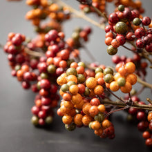 Berry Stem