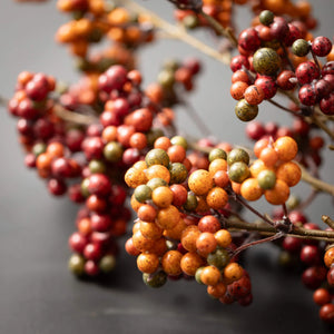 Berry Stem