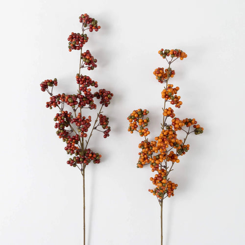 Berry Stem