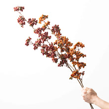 Berry Stem