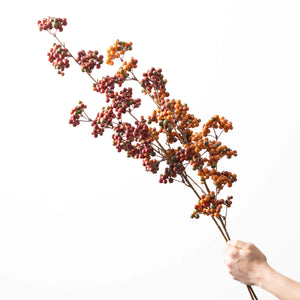 Berry Stem