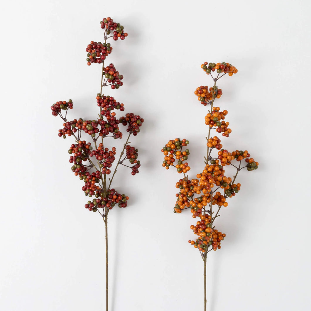 Berry Stem
