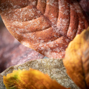 Mixed Autumn Leaf