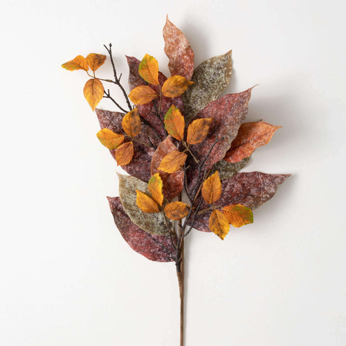 Mixed Autumn Leaf