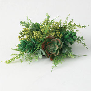 Succulent 1/2 Orb Nest