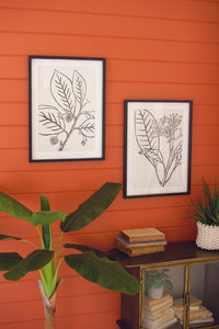 Framed Leaf Drawings