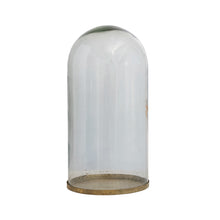 Cloche with Metal Base