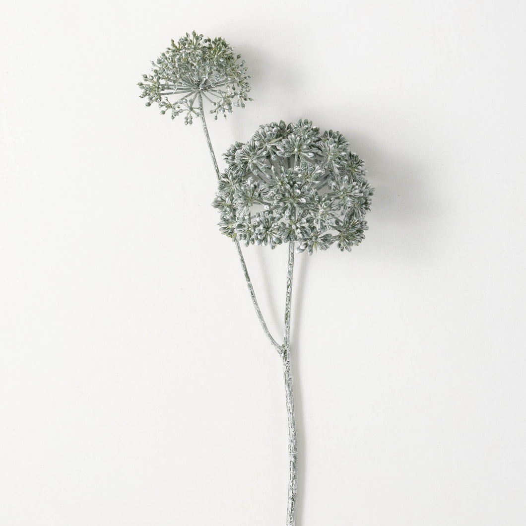 Seed Pod Spray