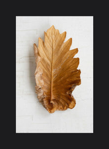 Dried Fern Leaf