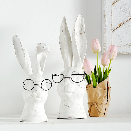 Rabbits with Glasses