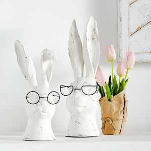 Rabbits with Glasses